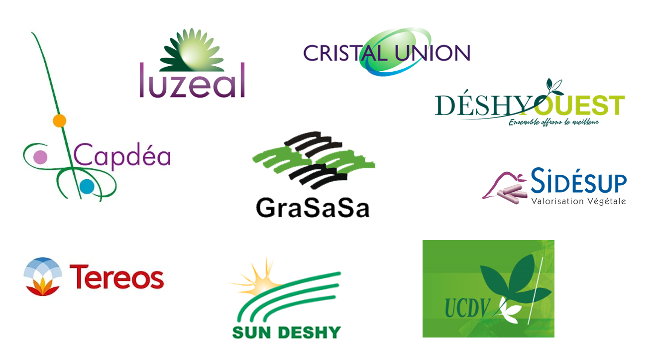 Mieux connaitre Luzerne de France La Coopération Agricole